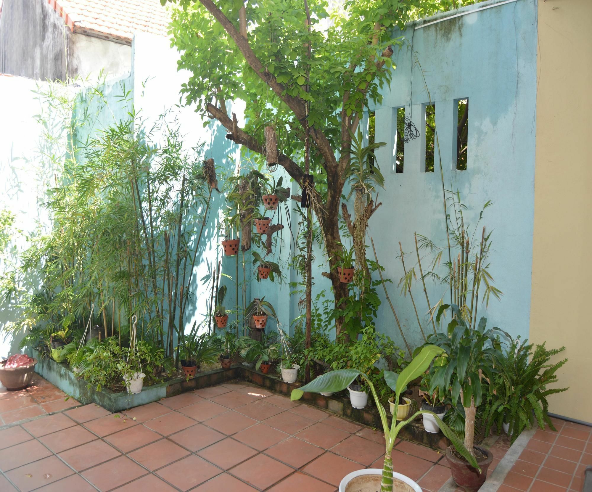 Orchids Homestay Hoi An Exterior foto